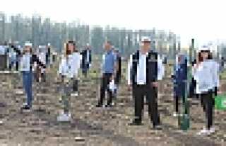 Hendek’te 12 bin 700 Fidan Toprakla Buluştu