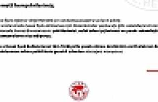 Hendek’te Havai Fişek Düzenlemesi