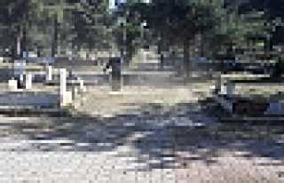 HENDEK'TE HUMMALI ÇALIŞMA