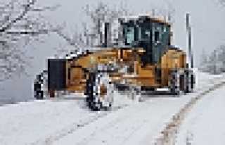 Hendek’te Karla Mücadele