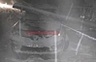 Araç'ın Üstüne Direk Devrildi