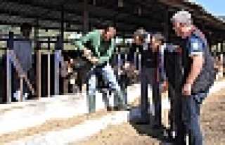 HENDEK’TE KESİMHANELER DENETLENDİ