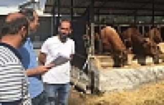 HENDEK’TE KESİMHANELER DENETLENDİ