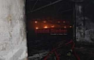 Hendek’te Tavuk Kümesinde Yangın 