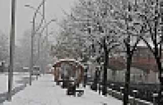 HENDEK’TEN KAR MANZARALARI