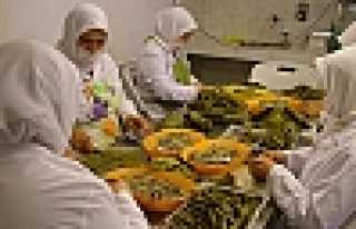 HENDEK'TEN TÜRKİYE’YE