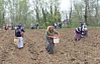 Hendek’ten Türkiye’ye Model Proje