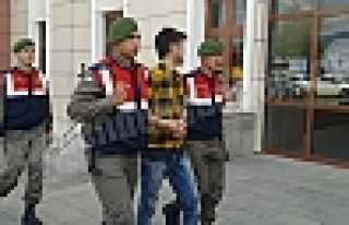 HIRSIZLIK ŞEBEKESİ ÇÖKERTİLDİ