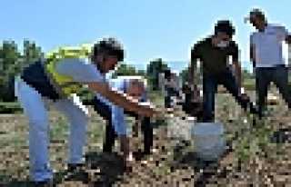 İhtiyaç Sahiplerine Destek Sürüyor 