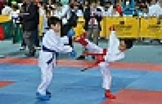 İLLER ARASI KARATE TURNUVASI GERÇEKLEŞTİ