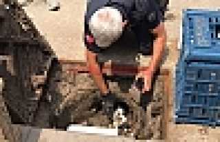 İtfaiyeden Kedi Kurtarma Operasyonu