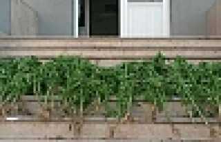 JANDARMA UYUŞTURUCUYA GÖZ AÇTIRMIYOR