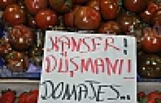 KANSERE KARŞI KARA DOMATES