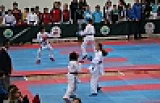 KARATECİLER HENDEK’TE COŞTU