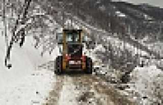 KARLA MÜCADELE BAŞLADI