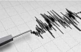 KOMŞU GECE YARISI SALLANDI