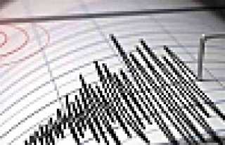 KOMŞU PEŞPEŞE SALLANDI