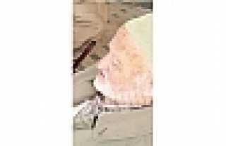  KURAN KURSLARININ HİZMETKARI SELMAN VEFAT ETTİ