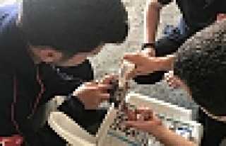 Kurtardıkları Kumruyu Elleriyle Beslediler