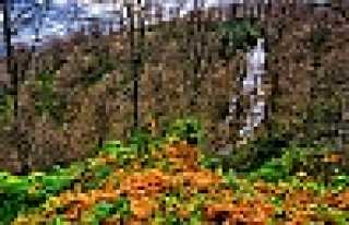 KURTULUŞ MAHALLESİ’NDE GÜZELLİĞİ KEŞFETTİLER