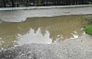 MAHALLE SAKİNLERİ YETKİLİLERDEN TALEP ETTİ