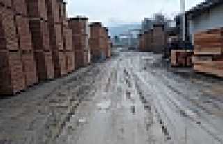 Mahalle Sakinleri Yol İstiyor