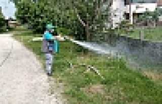 Mahallelerde İlaçlama Sürüyor 