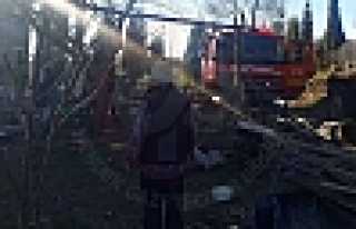 Mangal Keyfi Yangınla Sonuçlandı