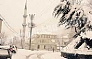 MART KAPI’DAN BAKTIRDI