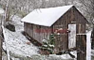 MART KAPIDAN BAKTIRDI