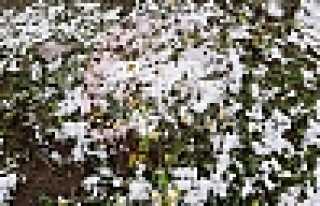 Mayıs’ta Kar Sürprizi