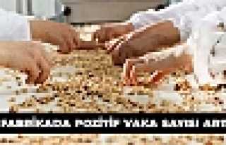 O Fabrikada Sayı Yükseliyor