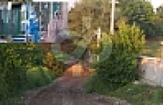 O Mahallede Testler Negatif