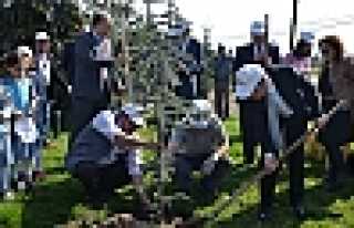 ORMAN HAFTASI ETKİNLİKLERİ DÜZENLENDİ