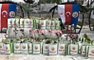 Orman İşletmeden Kandil Fidanı