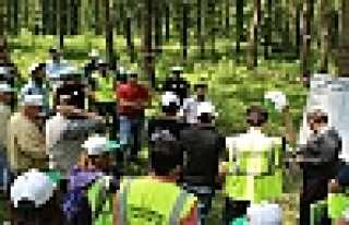 ORMAN MÜHENDİSLİĞİ ÖĞRENCİLERİ HENDEK’TE...