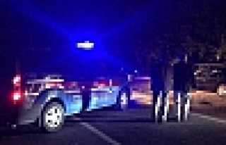 Ormanda Kısa Süreli Panik