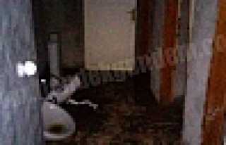 PİKNİK ALANINDAKİ TUVALETLER KULLANILAMAZ HALDE