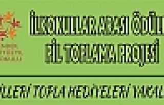 PİLLERİ TOPLA HEDİYELERİ YAKALA