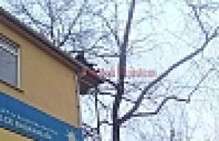 POLİS İKNA ETTİ ÇATIDAN İNDİ