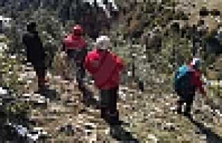 SAKE Mahsur Kalan Keçileri Kurtardı