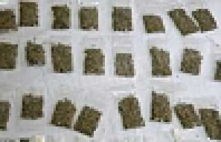 SATIŞA HAZIR BONZAİ ELE GEÇİRİLDİ