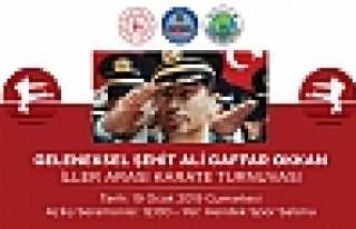 Şehit Ali Gaffar Okkan Anısına Turnuva