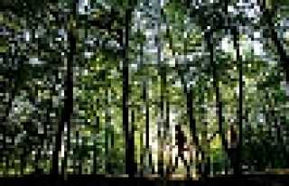 SELMAN DEDE’YE ÜCRETSİZ SERVİS 