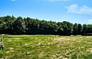 Selman Dede’ye Yoğun İlgi