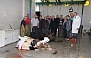 SERTİFİKALI KASAPLAR  