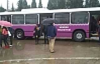 Servisler Neden Kaldırıldı