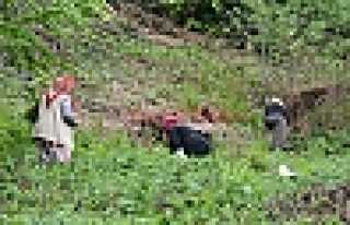 Şimdi Kaldirik Zamanı