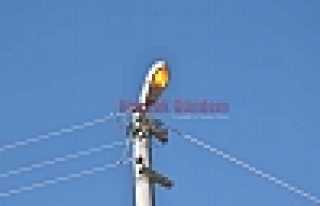 SOKAK LAMBALARI GÜZDÜZ YANIYOR