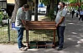 Sokaklara Mama Evleri